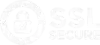 secure-ssl-encryption